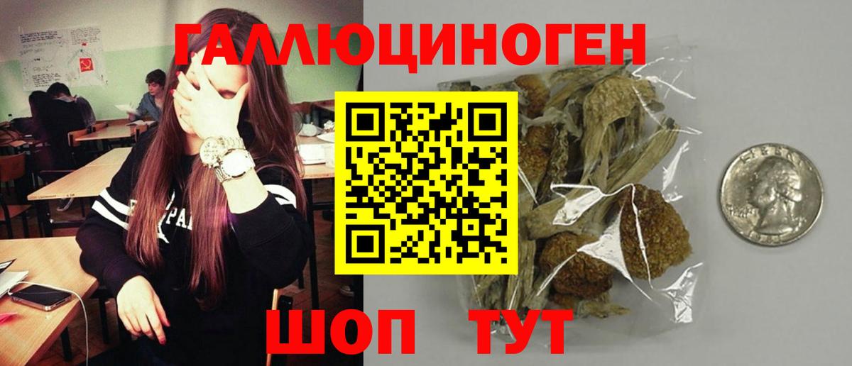 Городец  Галлюциногенные грибы мицелий  Вход с VPN 